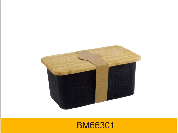 BM66301.jpg